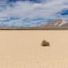 Tumbleweed on dry lake bed in desert